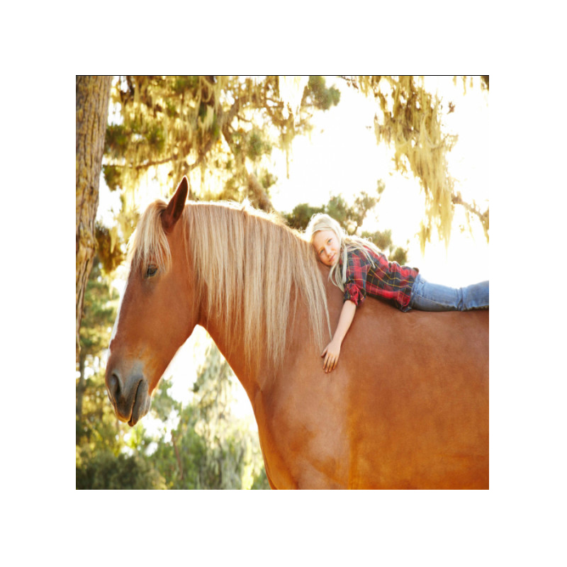 Πίνακας σε καμβά με Κοριτσάκι πάνω σε άλογο